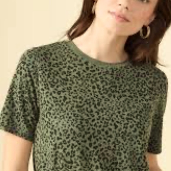 Zara cheetah print olive green cropped stretchy short sleeve sweater Small - Picture 1 of 7